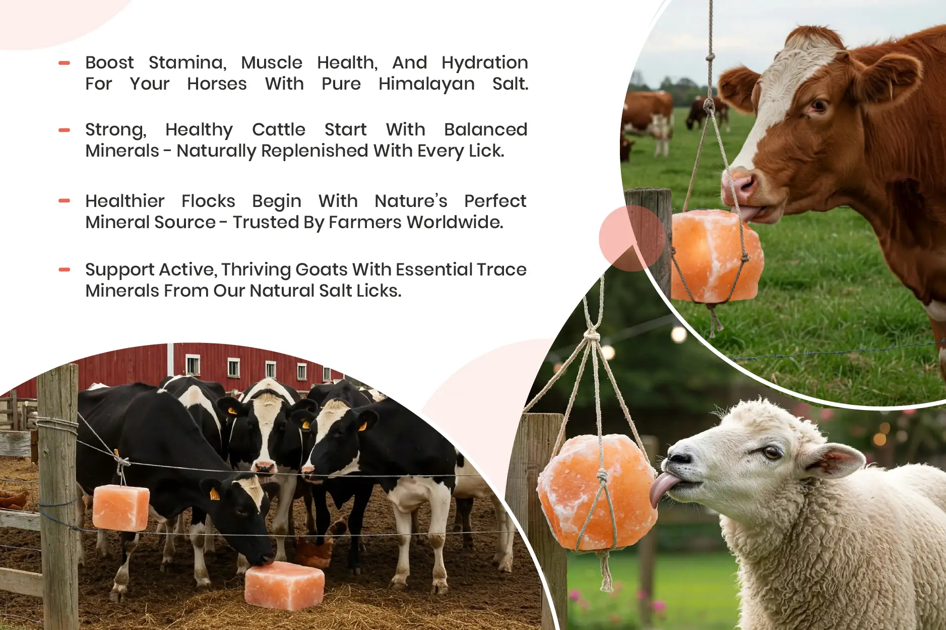 Himalayan Salt Lick for Animals