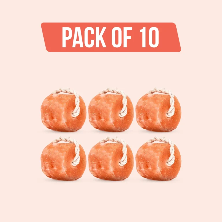 Himalayan Salt Licks for Animals pack of 10