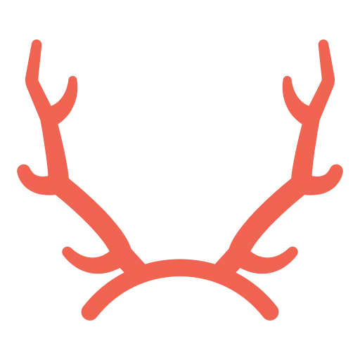 Growth of Antlers (Mostly in Males)