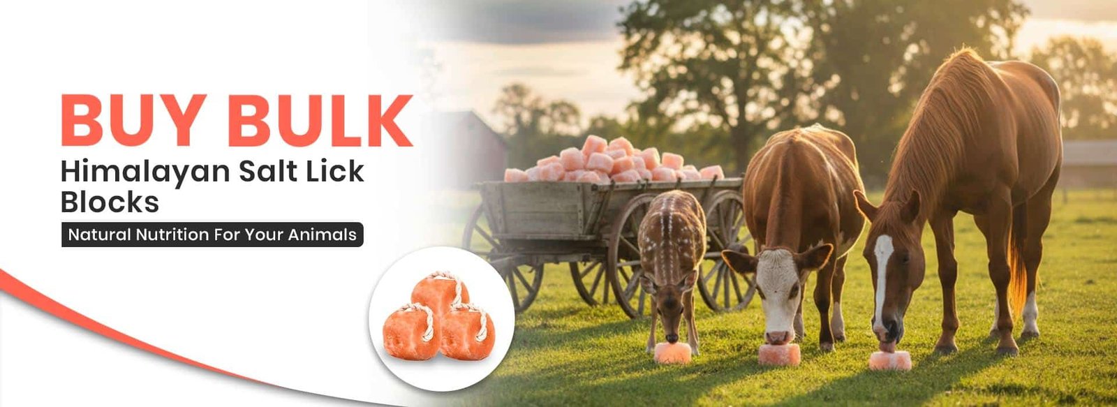 bulk-himalayan-salt-lick-blocks