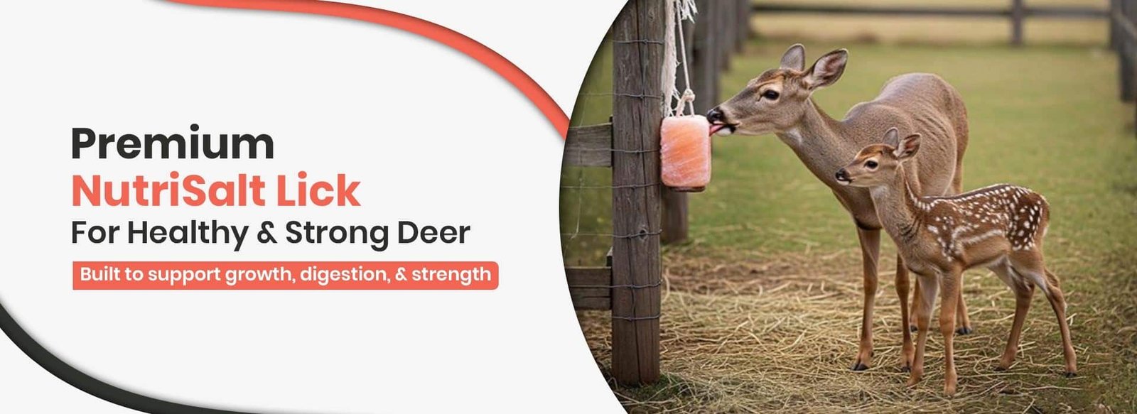 himalayan-salt-licks-for-deer