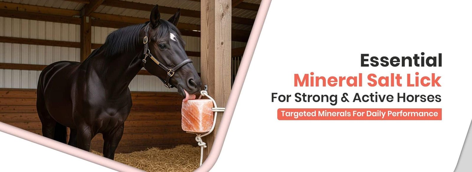himalayan-salt-licks-for-horses